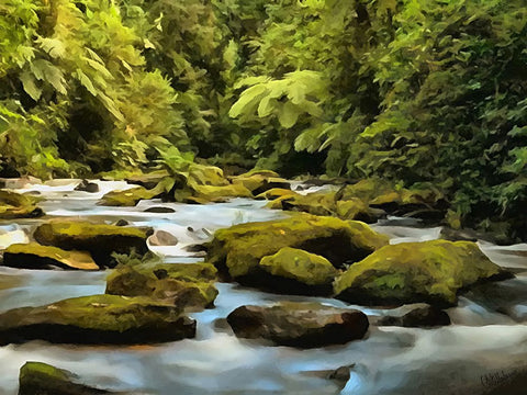 Green Stones in the River White Modern Wood Framed Art Print with Double Matting by Medeiros, Celito