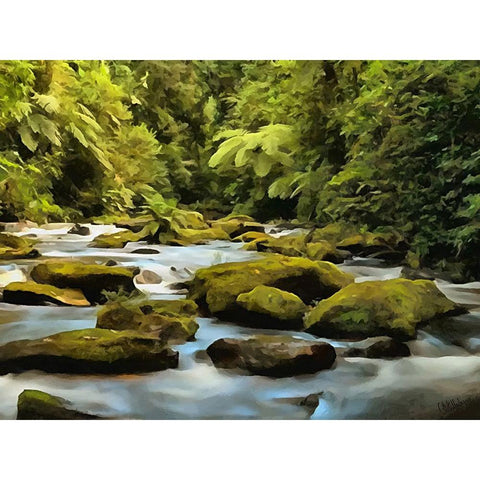 Green Stones in the River White Modern Wood Framed Art Print by Medeiros, Celito