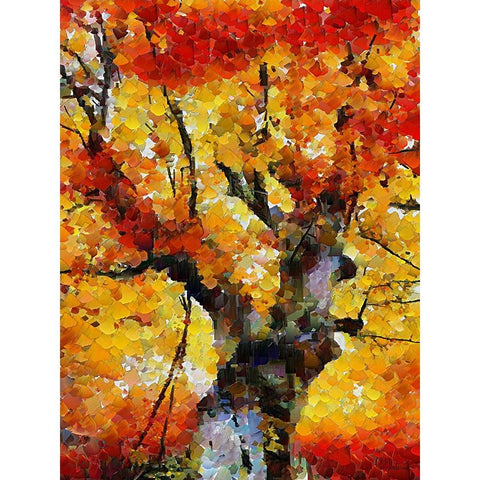 Collectio of Bloomin and Autumn Trees II Black Modern Wood Framed Art Print by Medeiros, Celito