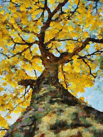 Collectio of Bloomin and Autumn Trees III White Modern Wood Framed Art Print with Double Matting by Medeiros, Celito