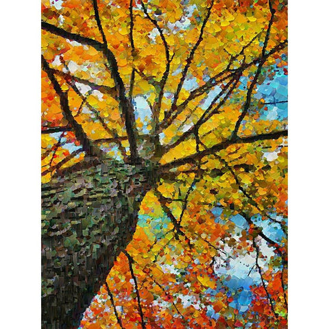 Collectio of Bloomin and Autumn Trees IV Gold Ornate Wood Framed Art Print with Double Matting by Medeiros, Celito
