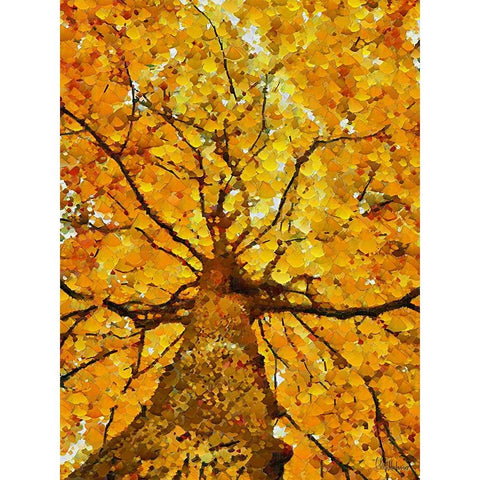 Collectio of Bloomin and Autumn Trees VII White Modern Wood Framed Art Print by Medeiros, Celito