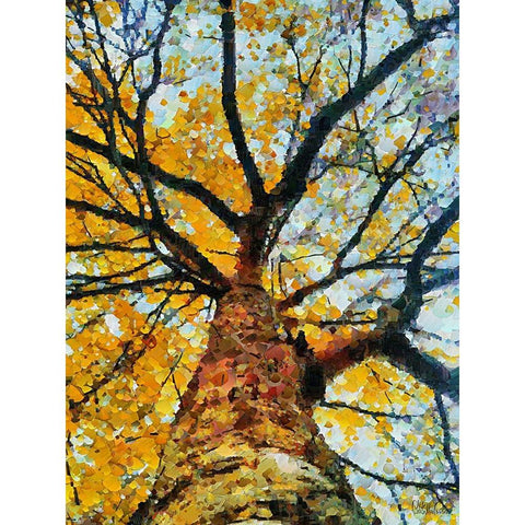 Collectio of Bloomin and Autumn Trees VIII Black Modern Wood Framed Art Print by Medeiros, Celito