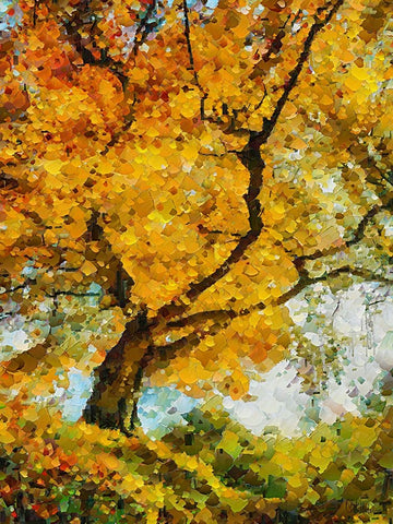 Collectio of Bloomin and Autumn Trees IX White Modern Wood Framed Art Print with Double Matting by Medeiros, Celito