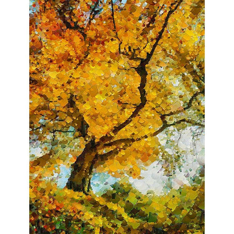 Collectio of Bloomin and Autumn Trees IX White Modern Wood Framed Art Print by Medeiros, Celito