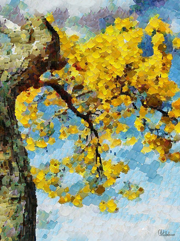 Collectio of Bloomin and Autumn Trees X Black Ornate Wood Framed Art Print with Double Matting by Medeiros, Celito