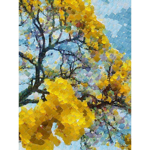Collectio of Bloomin and Autumn Trees XI Black Modern Wood Framed Art Print with Double Matting by Medeiros, Celito