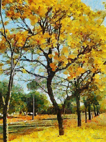 Collectio of Bloomin and Autumn Trees XII White Modern Wood Framed Art Print with Double Matting by Medeiros, Celito