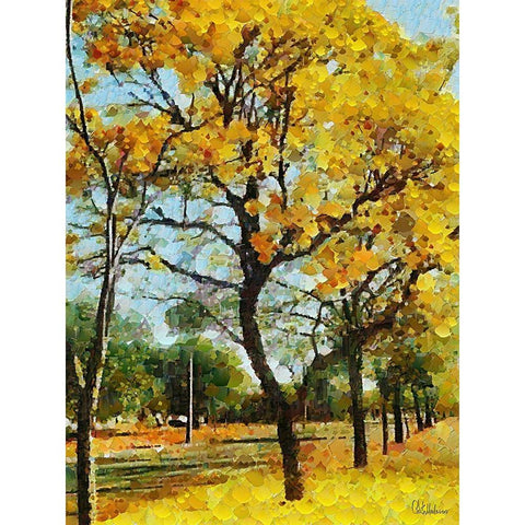 Collectio of Bloomin and Autumn Trees XII Black Modern Wood Framed Art Print with Double Matting by Medeiros, Celito