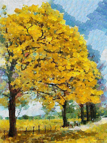 Collectio of Bloomin and Autumn Trees XVI Black Ornate Wood Framed Art Print with Double Matting by Medeiros, Celito