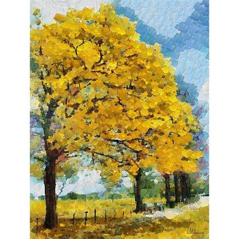 Collectio of Bloomin and Autumn Trees XVI White Modern Wood Framed Art Print by Medeiros, Celito