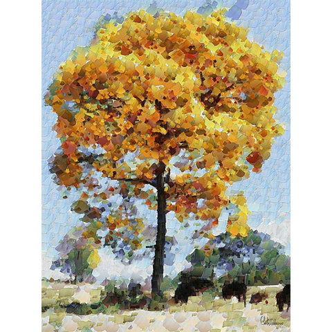 Collectio of Bloomin and Autumn Trees XVIII White Modern Wood Framed Art Print by Medeiros, Celito