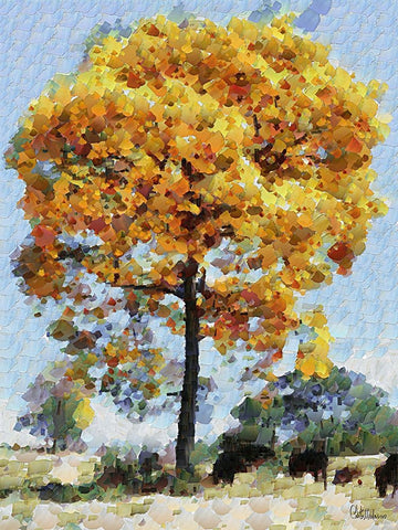 Collectio of Bloomin and Autumn Trees XVIII Black Ornate Wood Framed Art Print with Double Matting by Medeiros, Celito