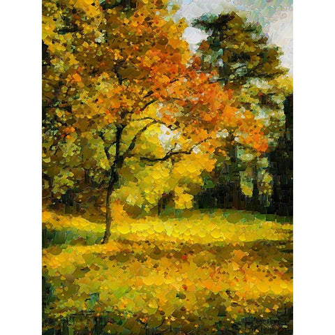 Collectio of Bloomin and Autumn Trees XXII White Modern Wood Framed Art Print by Medeiros, Celito