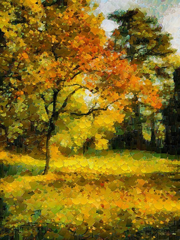 Collectio of Bloomin and Autumn Trees XXII White Modern Wood Framed Art Print with Double Matting by Medeiros, Celito