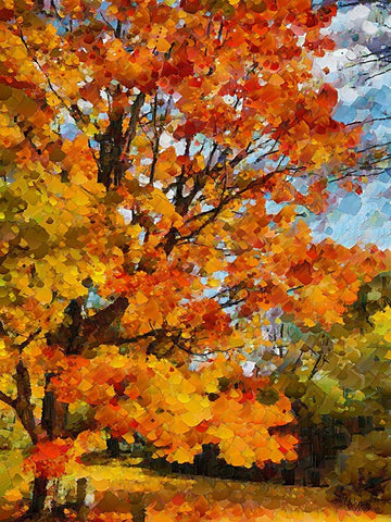 Collectio of Bloomin and Autumn Trees XXIII White Modern Wood Framed Art Print with Double Matting by Medeiros, Celito