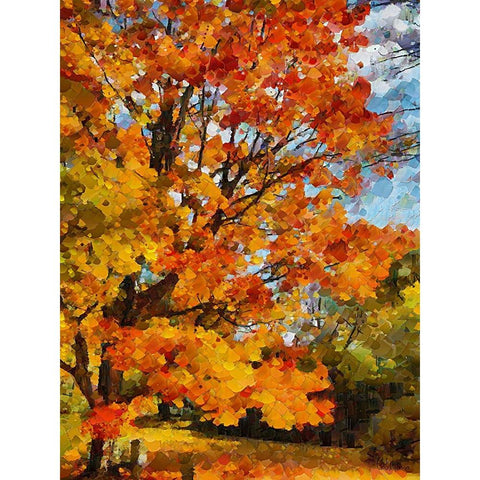 Collectio of Bloomin and Autumn Trees XXIII Black Modern Wood Framed Art Print with Double Matting by Medeiros, Celito