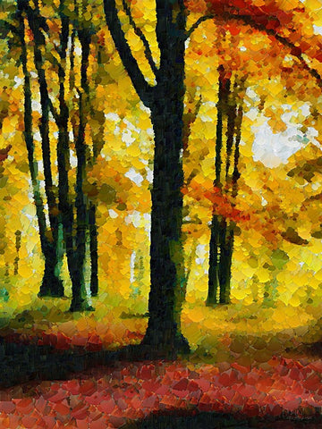 Collectio of Bloomin and Autumn Trees XXVI White Modern Wood Framed Art Print with Double Matting by Medeiros, Celito