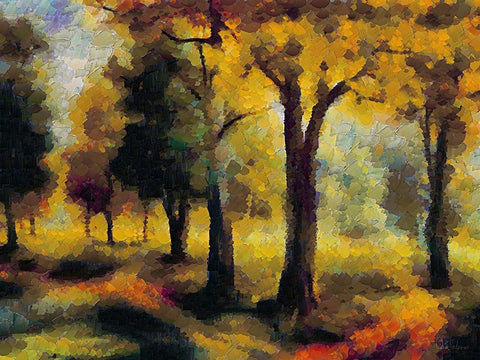 Collectio of Bloomin and Autumn Trees XXVII White Modern Wood Framed Art Print with Double Matting by Medeiros, Celito