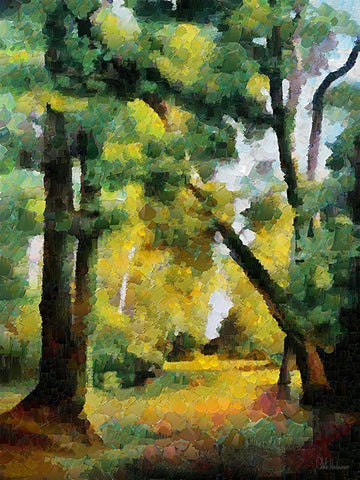 Collectio of Bloomin and Autumn Trees XXVIII White Modern Wood Framed Art Print with Double Matting by Medeiros, Celito