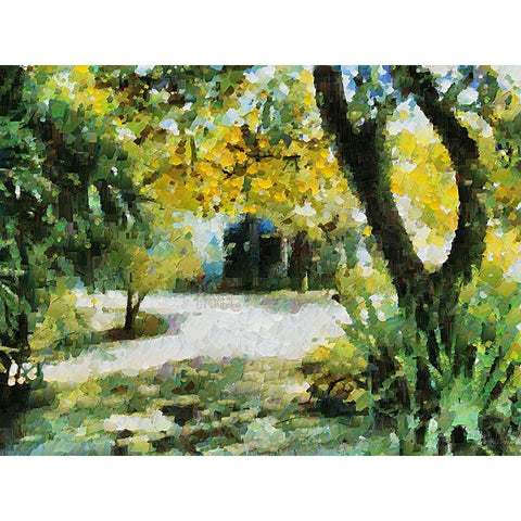 Collectio of Bloomin and Autumn Trees XXX Black Modern Wood Framed Art Print with Double Matting by Medeiros, Celito