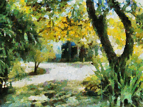 Collectio of Bloomin and Autumn Trees XXX White Modern Wood Framed Art Print with Double Matting by Medeiros, Celito