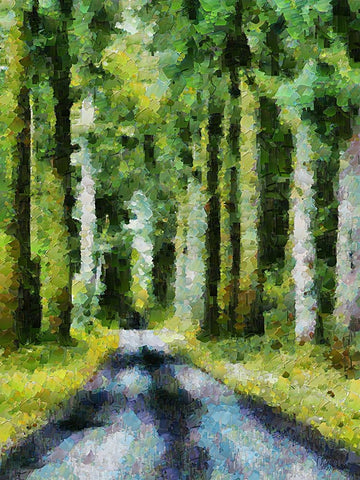 Collectio of Bloomin and Autumn Trees XXXI Black Ornate Wood Framed Art Print with Double Matting by Medeiros, Celito