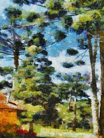 Collectio of Bloomin and Autumn Trees XXXII White Modern Wood Framed Art Print with Double Matting by Medeiros, Celito