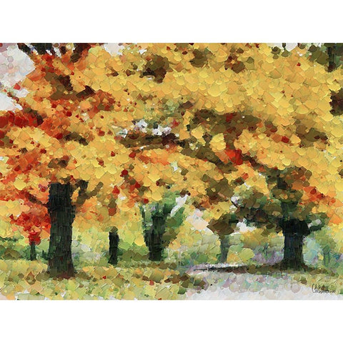 Collectio of Bloomin and Autumn Trees XXXVII Black Modern Wood Framed Art Print with Double Matting by Medeiros, Celito