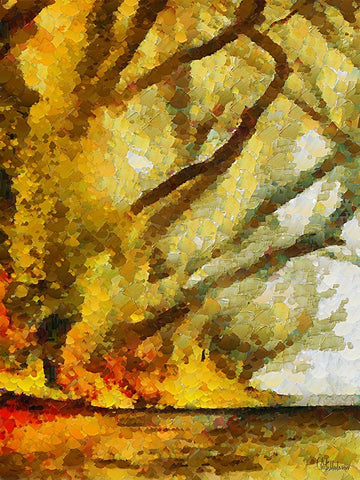 Collectio of Bloomin and Autumn Trees XXXVIII White Modern Wood Framed Art Print with Double Matting by Medeiros, Celito