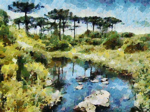 Collectio of Bloomin and Autumn Trees XL Black Ornate Wood Framed Art Print with Double Matting by Medeiros, Celito