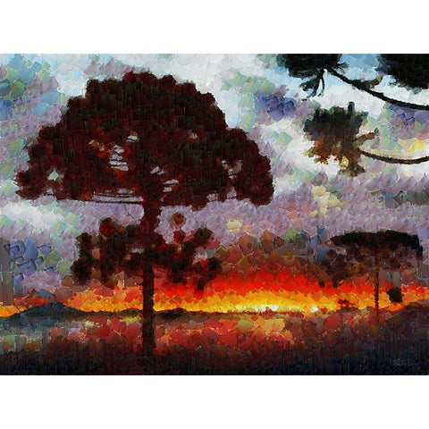 Collectio of Bloomin and Autumn Trees XLI Black Modern Wood Framed Art Print with Double Matting by Medeiros, Celito