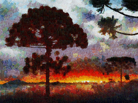 Collectio of Bloomin and Autumn Trees XLI Black Ornate Wood Framed Art Print with Double Matting by Medeiros, Celito