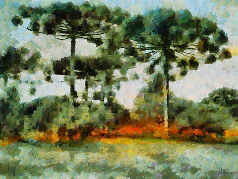 Collectio of Bloomin and Autumn Trees XLIII White Modern Wood Framed Art Print with Double Matting by Medeiros, Celito