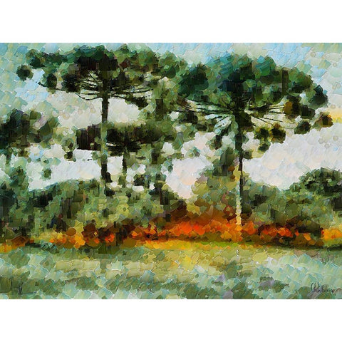 Collectio of Bloomin and Autumn Trees XLIII Black Modern Wood Framed Art Print with Double Matting by Medeiros, Celito