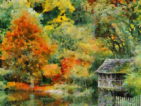 Collectio of Bloomin and Autumn Trees XLVI Black Ornate Wood Framed Art Print with Double Matting by Medeiros, Celito