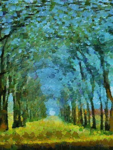 Collectio of Bloomin and Autumn Trees XLVII Black Ornate Wood Framed Art Print with Double Matting by Medeiros, Celito