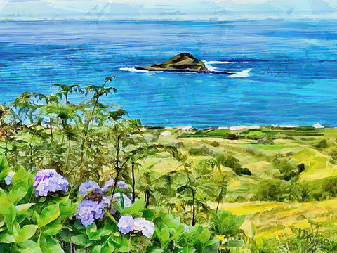 View of the Coast III White Modern Wood Framed Art Print with Double Matting by Medeiros, Celito