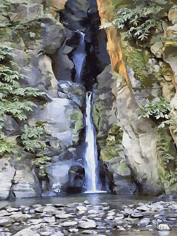 Watterfall between Rocks I Black Ornate Wood Framed Art Print with Double Matting by Medeiros, Celito