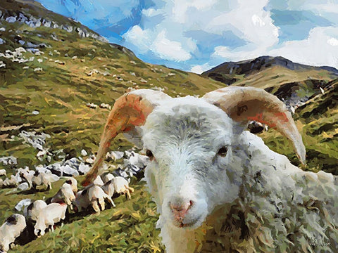 Sheep and Goat Collection I Black Modern Wood Framed Art Print by Medeiros, Celito