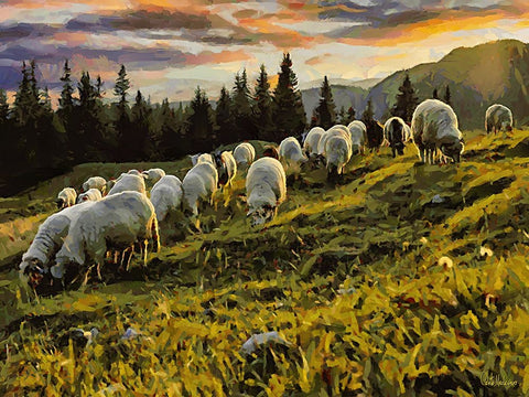 Sheep and Goat Collection II Black Ornate Wood Framed Art Print with Double Matting by Medeiros, Celito