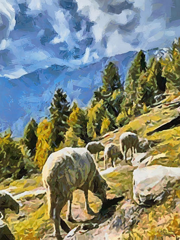 Sheep and Goat Collection VI Black Ornate Wood Framed Art Print with Double Matting by Medeiros, Celito