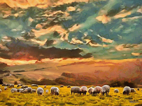 Sheep and Goat Collection VII Black Modern Wood Framed Art Print by Medeiros, Celito