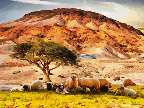 Sheep and Goat Collection VIII Black Modern Wood Framed Art Print by Medeiros, Celito