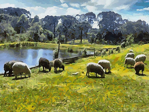 Sheep and Goat Collection IX White Modern Wood Framed Art Print with Double Matting by Medeiros, Celito