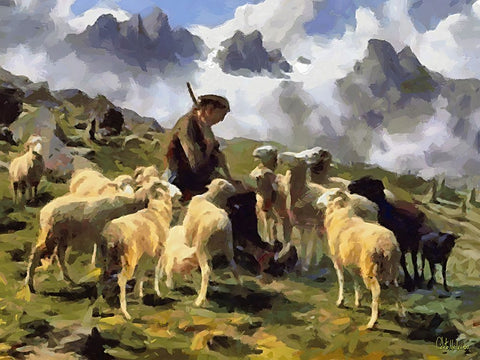 Sheep and Goat Collection X White Modern Wood Framed Art Print with Double Matting by Medeiros, Celito