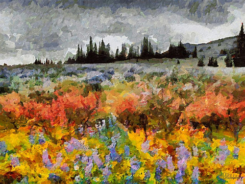 Colorful Meadow with Black and White Sky Black Ornate Wood Framed Art Print with Double Matting by Medeiros, Celito