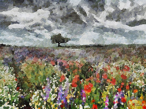 Colorful Meadow with Black and White Sky II Black Modern Wood Framed Art Print by Medeiros, Celito