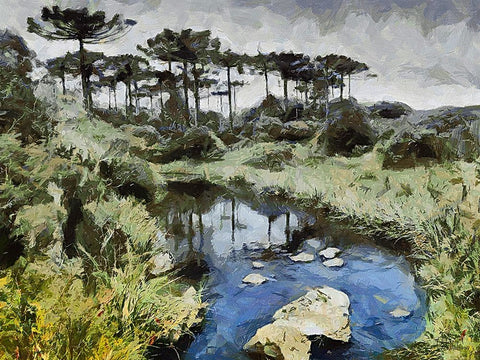 River in Tropical Nature Black Ornate Wood Framed Art Print with Double Matting by Medeiros, Celito