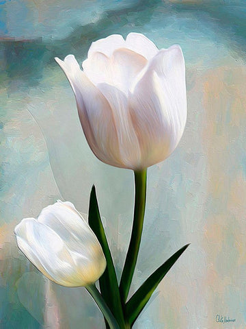 White Tulip Black Ornate Wood Framed Art Print with Double Matting by Medeiros, Celito
